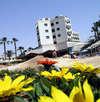 Pavlo Napa Beach Hotel 